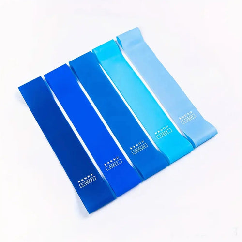 5 Pcs Resistance Bands, Professional Exercise Bands Elastic Stretch Bands for Fitness Yoga Pilates Stretching Strength Training, Workout Bands for Women and Men Home Gym(Blue)